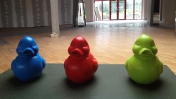 Alles over or if you prefer ducks